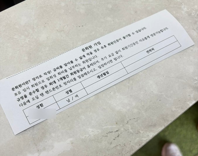 고양이네 사진 2