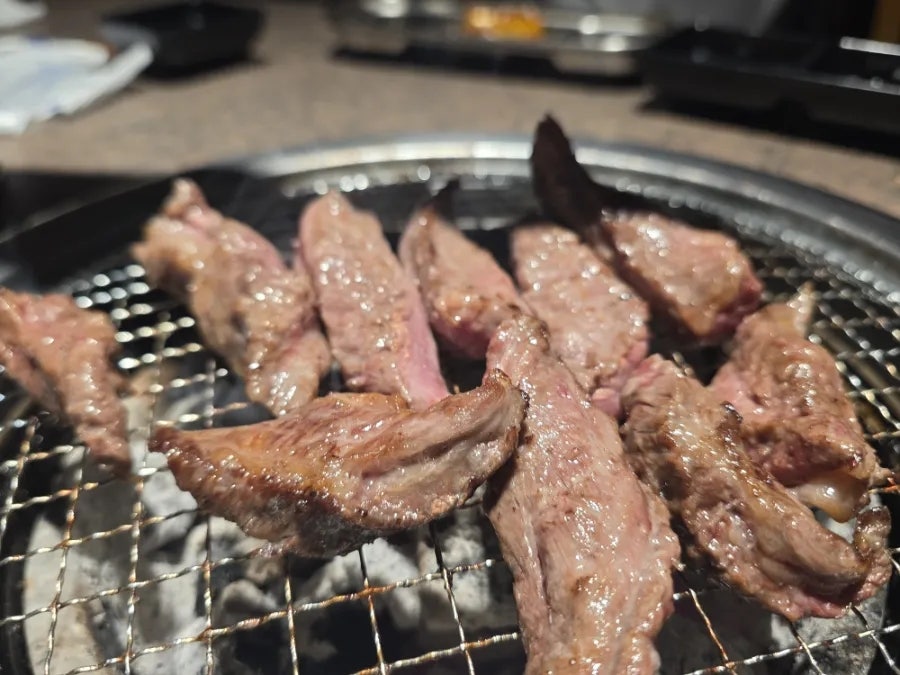 우화 사진 4