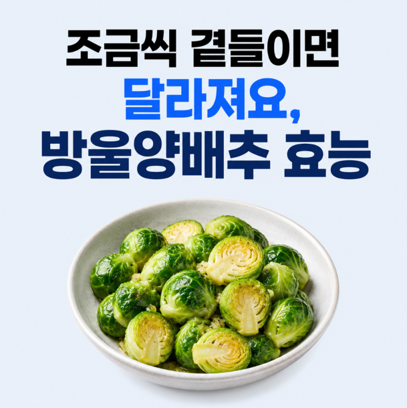 방울양배추 효능과 영양 성분, 칼로리·먹는 법까지 알아두면 좋은 점