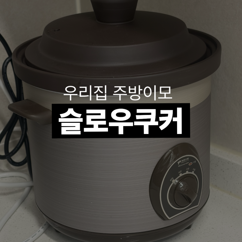 슬로우쿠커 사용법 | 저온·고온 차이 구운계란부터 갈비찜까지 (요리 초보,워킹맘 필독)