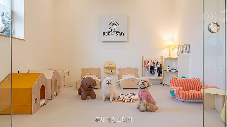 독채애견스테이 사진 1