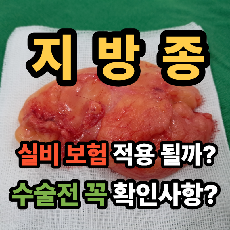 지방종 실비보험 적용될까? 지방종 수술 전 꼭 확인