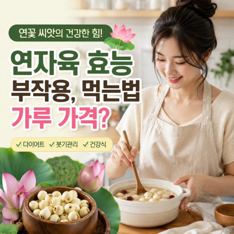 연꽃 씨앗 연자육 효능 부작용, 먹는법부터 가루·가격까지 총정리