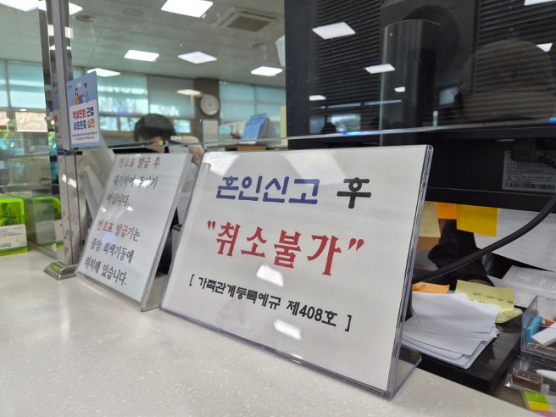 혼인신고 하는 법 총정리! 준비물부터 증인, 온라인 가능 여부까지 한 번에