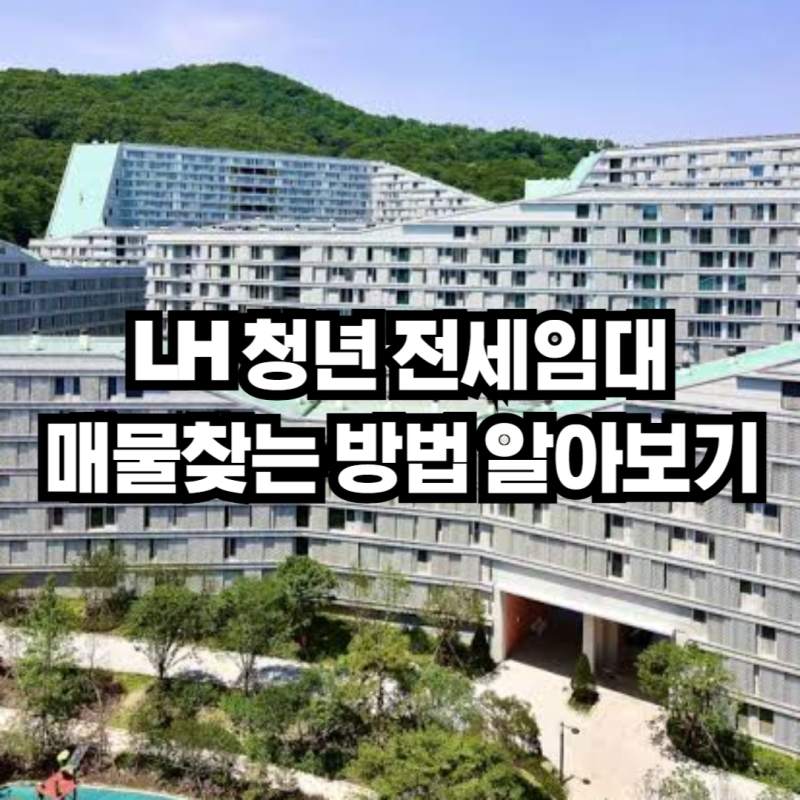 LH 청년 전세임대주택 매물 확인방법 알아보기 l 계약 공고 신청 주의사항