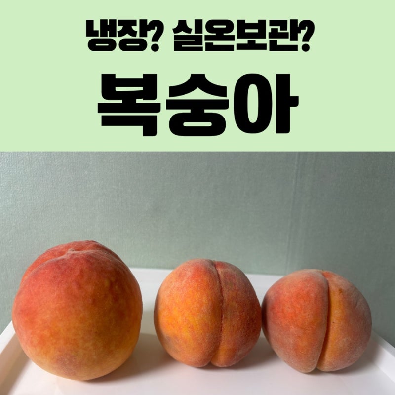 복숭아보관법 냉장보관이 맞을까? 오래 신선하게 먹는 후숙 꿀팁 총정리