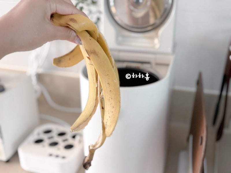 "음식물쓰레기? 일반쓰레기?", 바나나껍질 제대로 버리는 방법