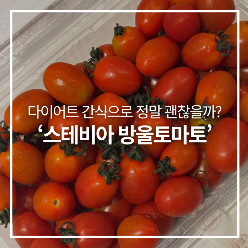 스테비아 방울토마토, 많이 먹어도 다이어트에 괜찮을까? 칼로리와 부작용 팩트체크