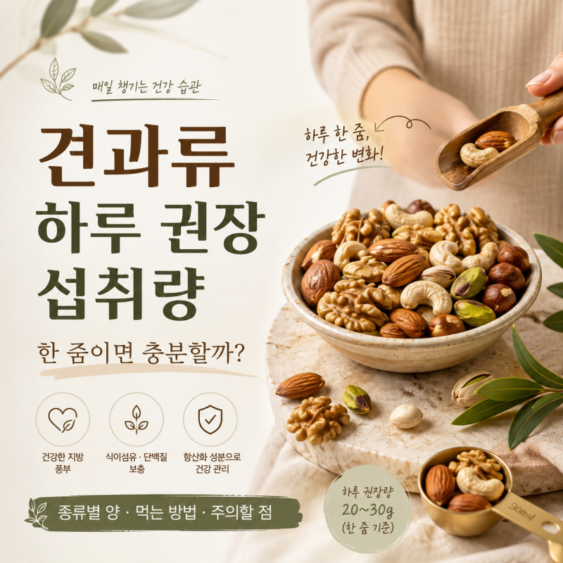 견과류 하루 권장 섭취량, 한 줌이면 충분할까? 종류별 섭취 방법과 주의점