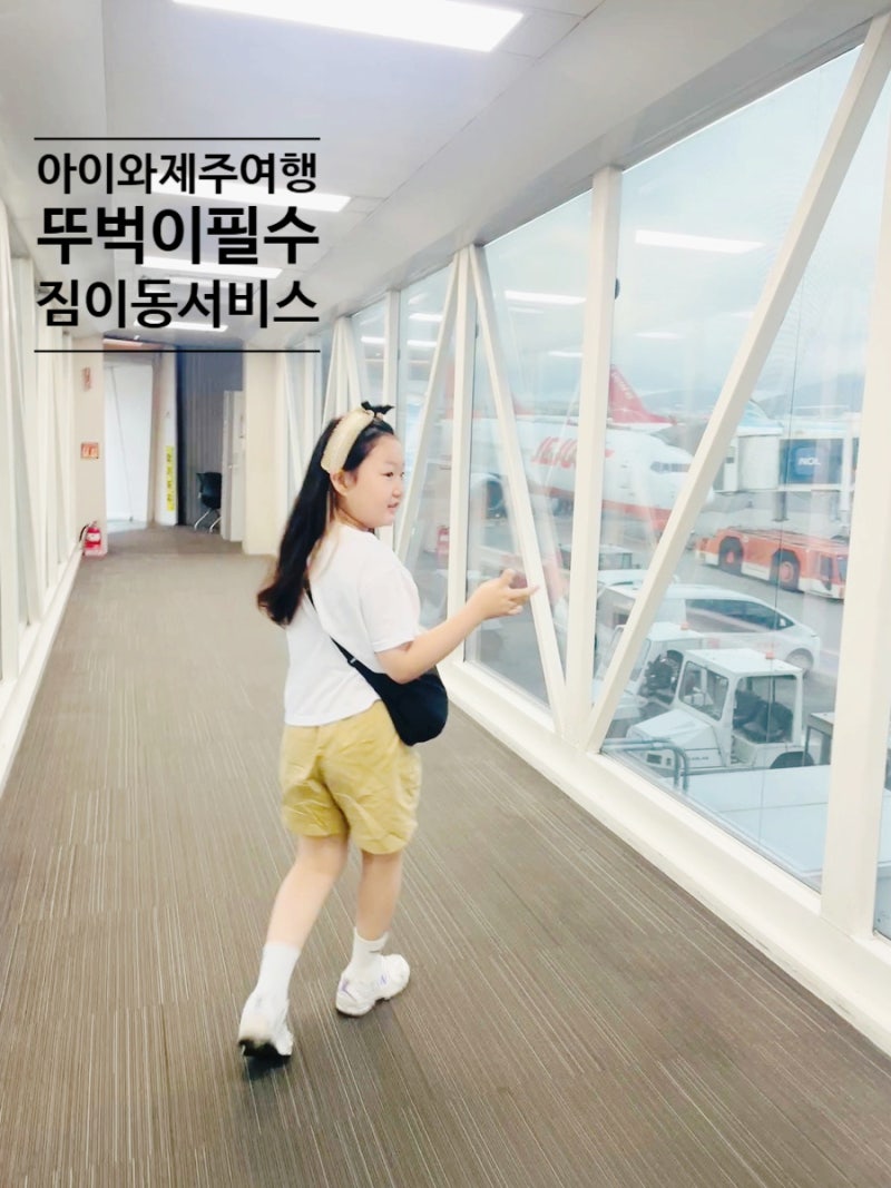 [짐캐리] 제주공항 짐 보관/배송 서비스 짐캐리 후기 뚜벅이 제주여행 필수템 추천
