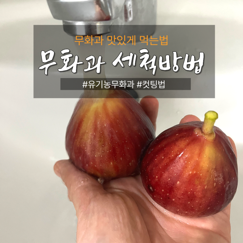 생무화과 씻는법 필수 꿀팁! 유기농 무화과 세척 및 먹는법 (가로 세로 자르기 비교)