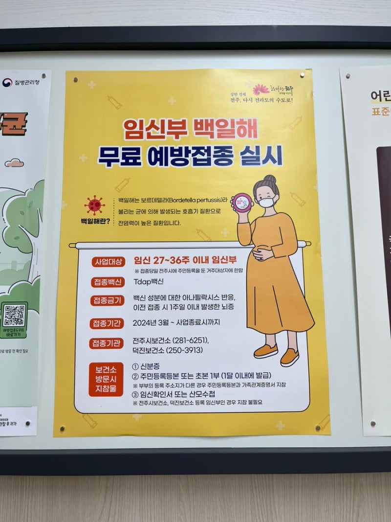 전주 보건소 임산부 백일해 무료접종 남편과 함께 접종완료! 접종 시기, 필요 서류, 부작용 ....