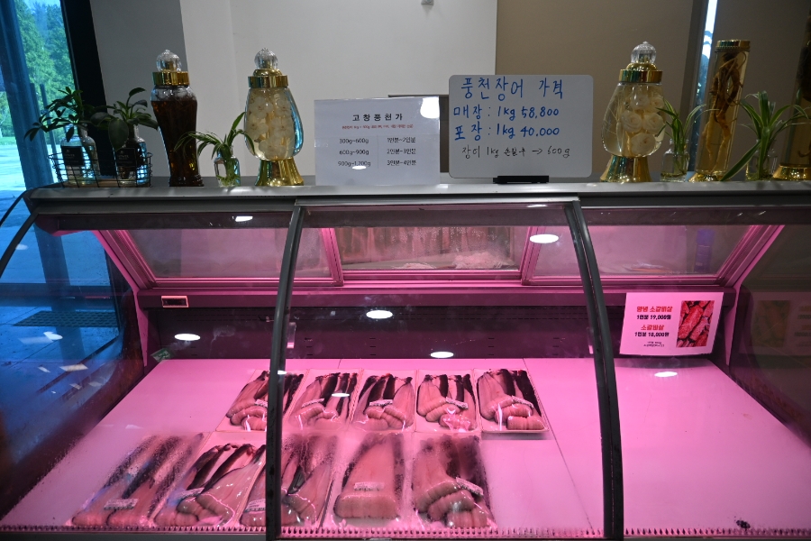 선운산 사진 5