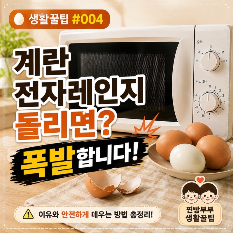 생활꿀팁 #004 | 계란 전자레인지 돌리면 폭발할까? 안전하게 데우는 방법 총정리