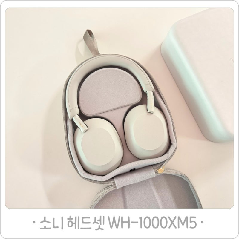 소니 헤드셋 WH-1000XM5 플래티넘 실버, 최신 M6 대신 고른 이유