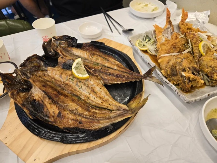 봄 사진 5
