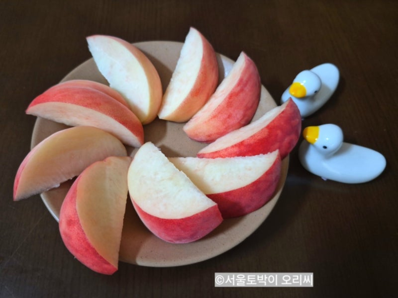 딱딱이 복숭아 보관법 제철 대극천 경봉 조치원 품종 비교