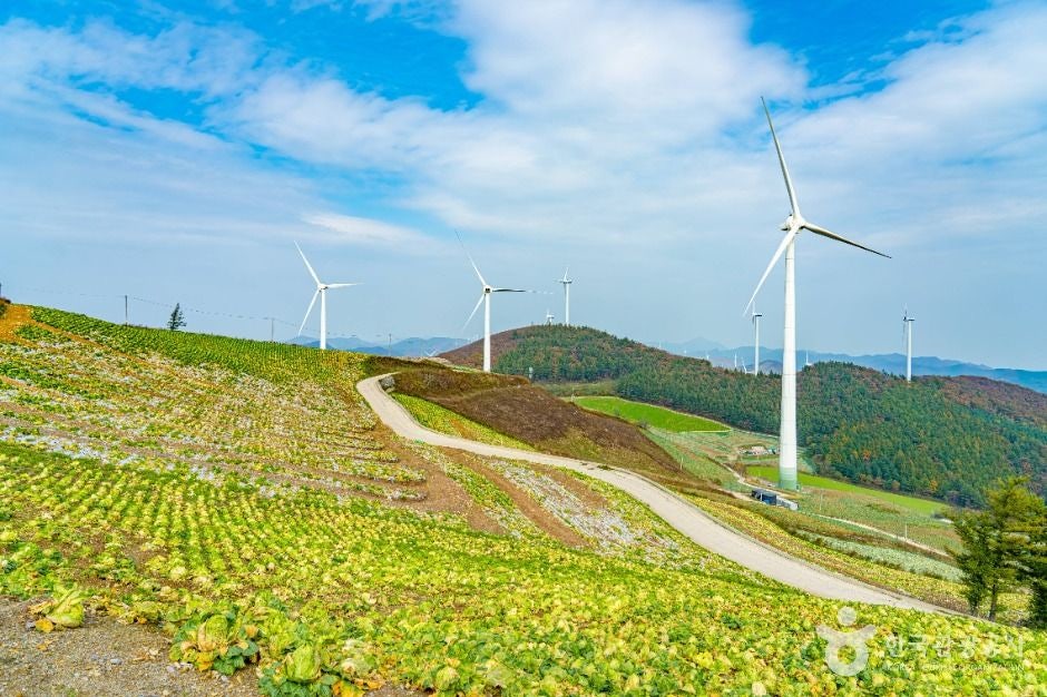 매봉산 사진 3