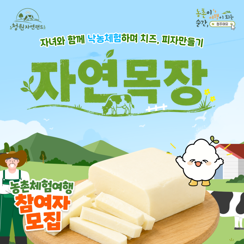 청주 낙농체험, 청주여유와 청원자연랜드에서 치즈·피자 만들기
