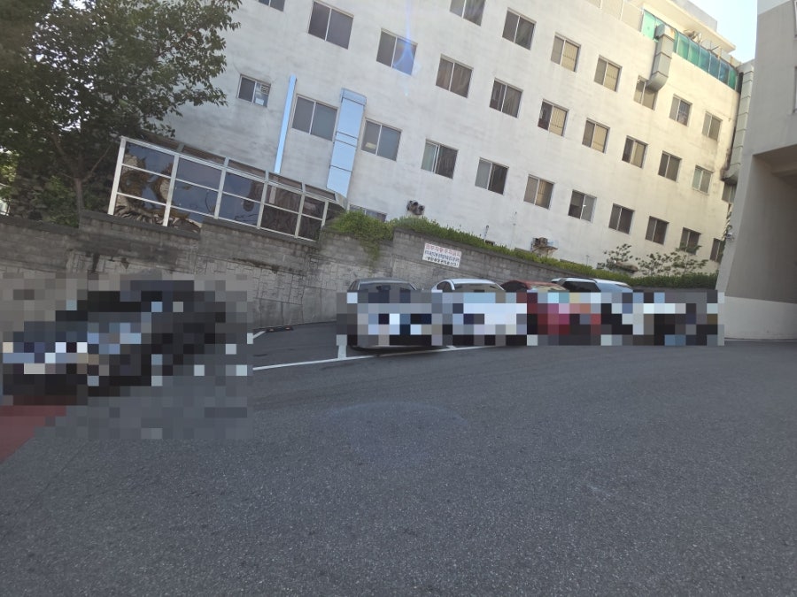 러프로스터스 사진 2
