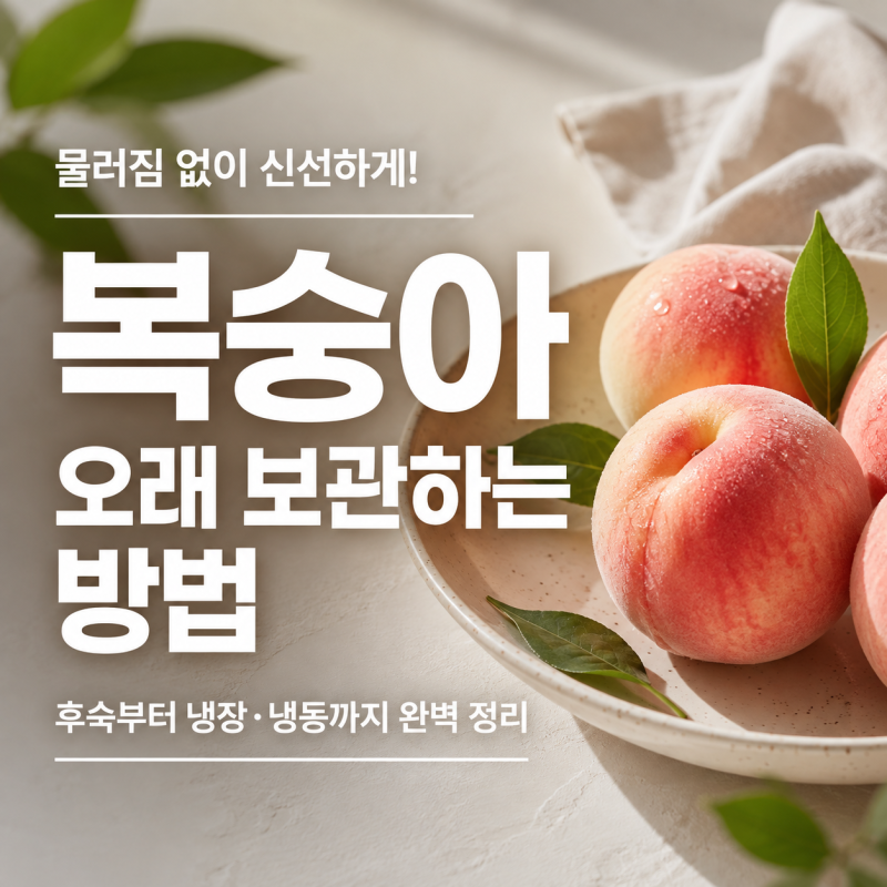 복숭아 오래 보관하는 방법, 냉장보관부터 후숙까지 신선하게 먹는 꿀팁