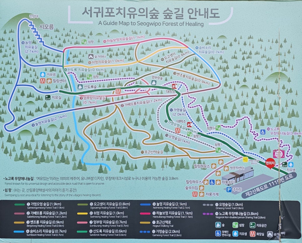 서귀포 치유의 숲 노고록 숲길 사진 5