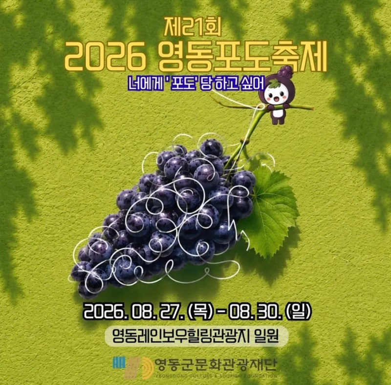 [충북 축제] 2026 제21회 영동포도축제 총정리! 일정·라인업·체험 프로그램 가이드