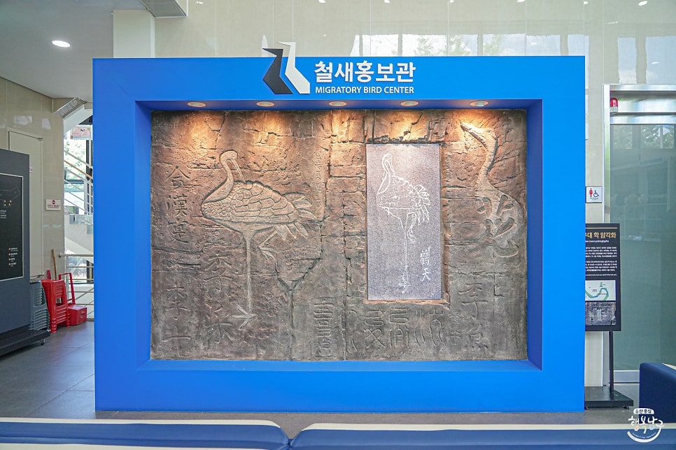 철새홍보관 사진 4
