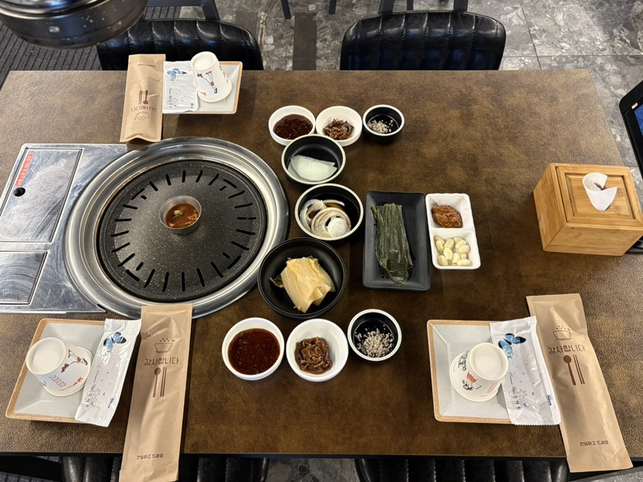 꽃돼지 사진 4