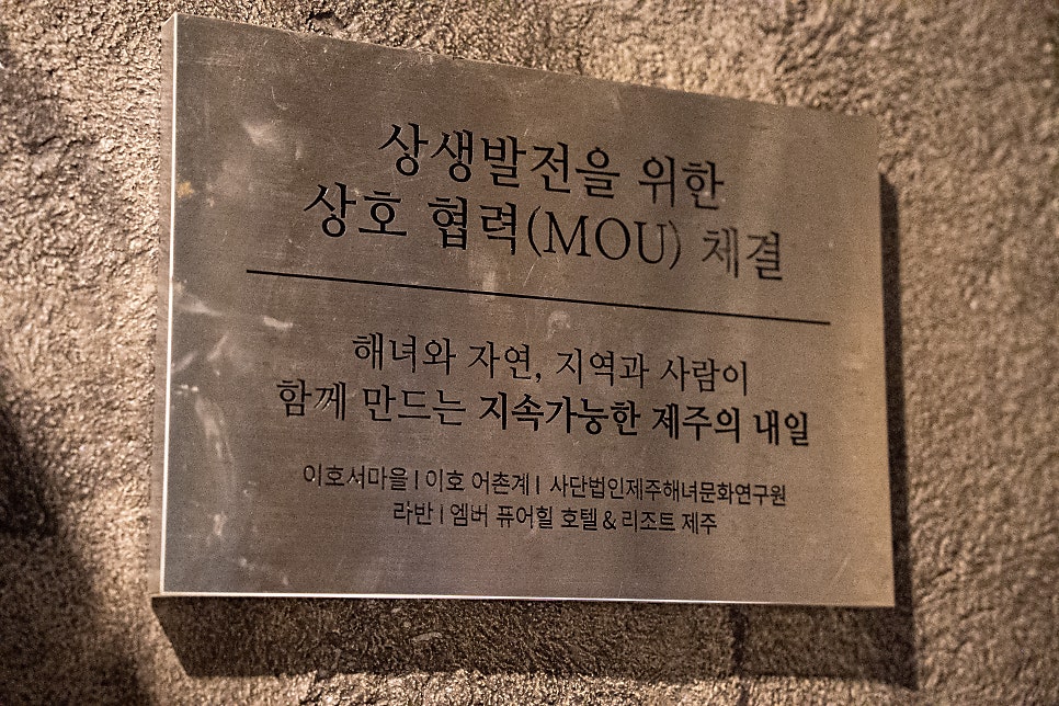 오늘이호 사진 5