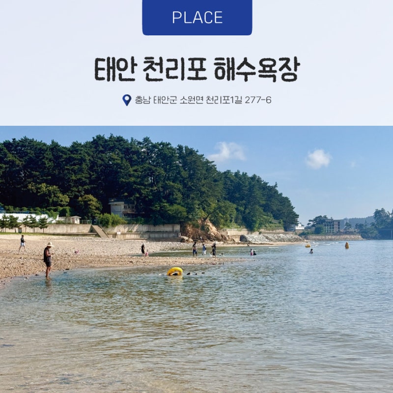 충남 태안 천리포 해수욕장 강아지랑 가기 좋은 노지캠핑
