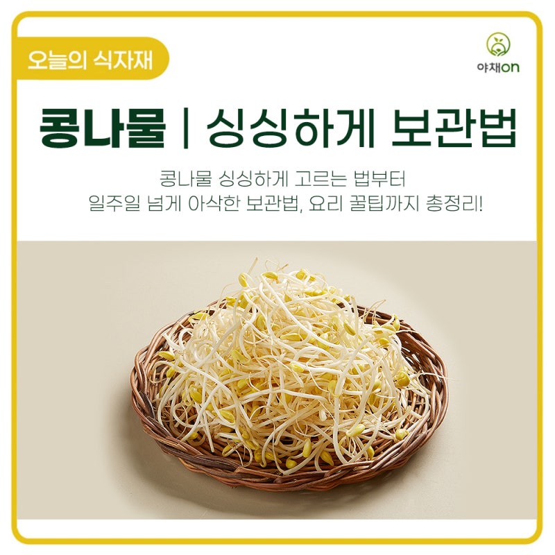 콩나물 오래 보관하는 비결! 냉장·냉동 보관법 총정리
