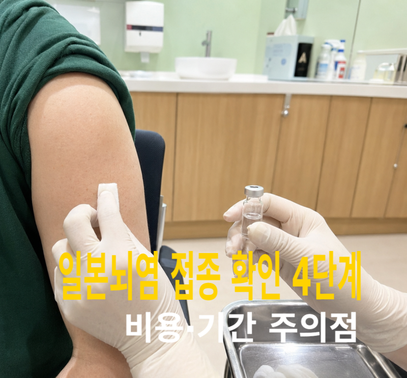 일본뇌염 성인 예방접종 기준 확인 4단계, 접종 비용·기간과 주의점