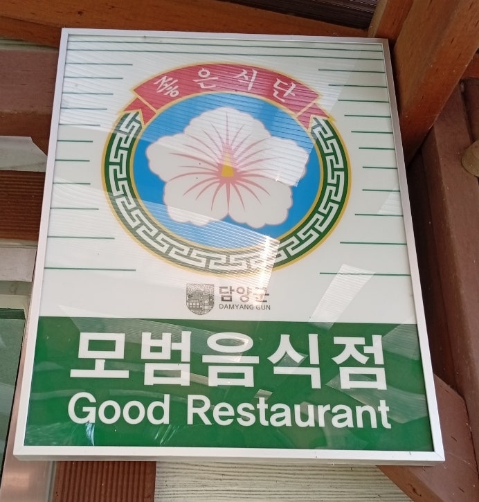 황금소나무 사진 3