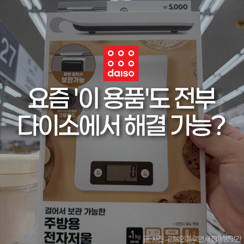 요즘 베이킹 시작하기 진짜 좋아졌네... 다이소 베이킹 도구 5가지