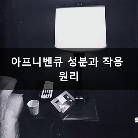 아프니벤큐 입안에 생기는 골칫거리 해결 방법