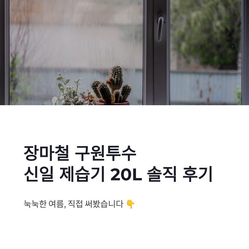 신일 제습기 20L 오토스윙 블레이드 장마철 사용 후기