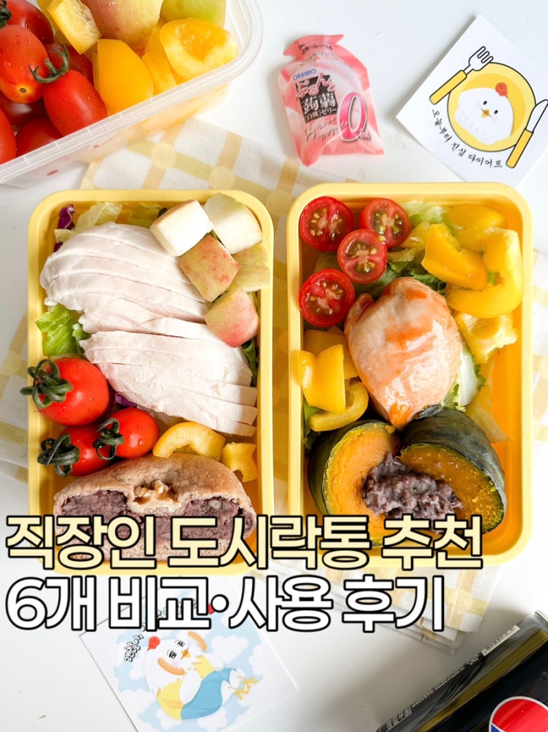 7년차 직장인 도시락 식단러의 내돈내산 도시락통 6개 사용후기 장•단점 추천템