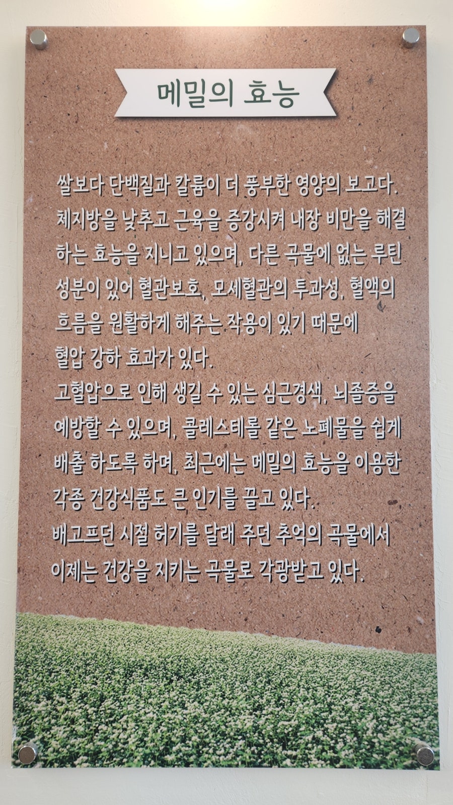 옹막골 사진 1