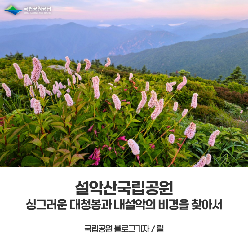 [설악산국립공원] 설악산, 싱그러운 대청봉과 내설악의 비경을 찾아서