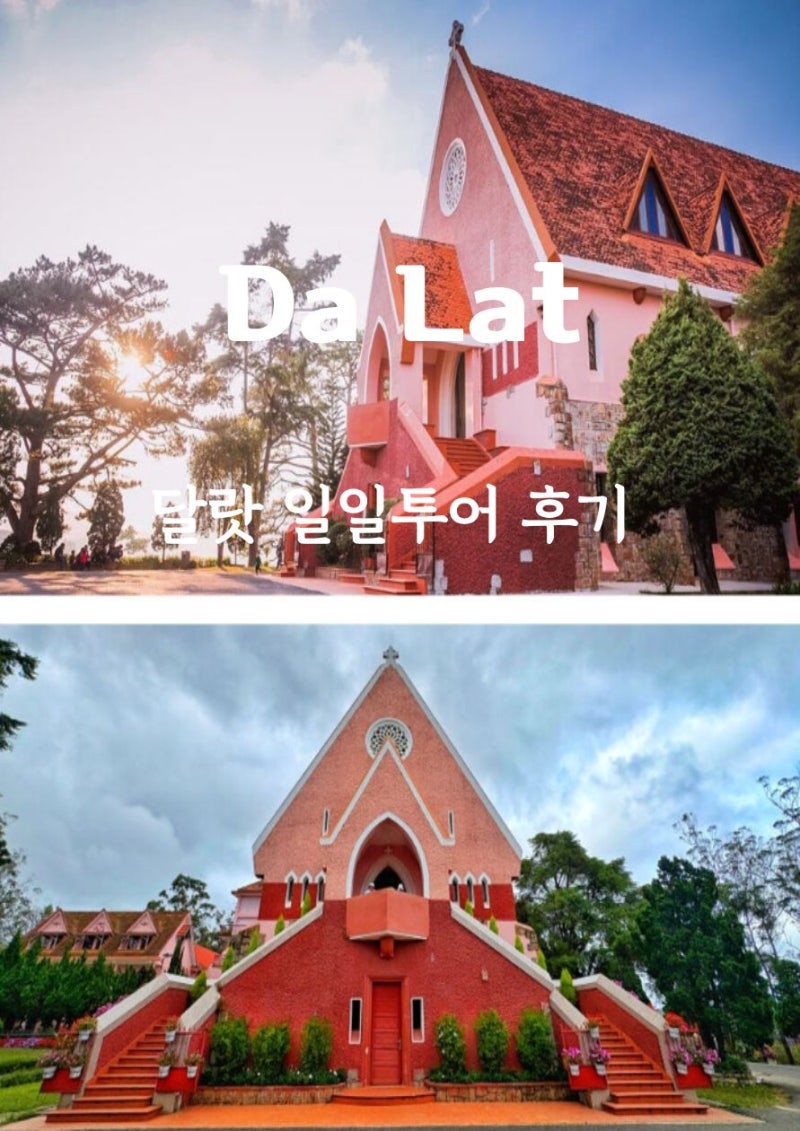 나트랑 달랏패키지 일일투어 여행 후기 할인 팁
