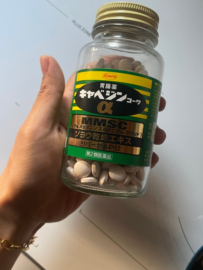 카베진 효능과 복용법, 일본 여행 필수템 총정리