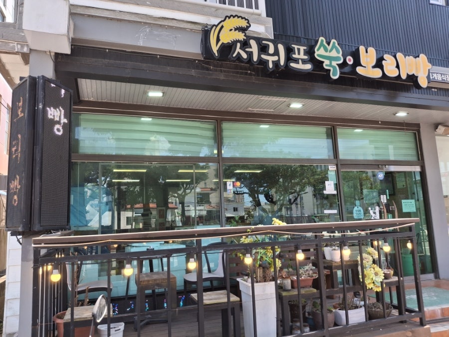 서귀포쑥보리빵 사진 5