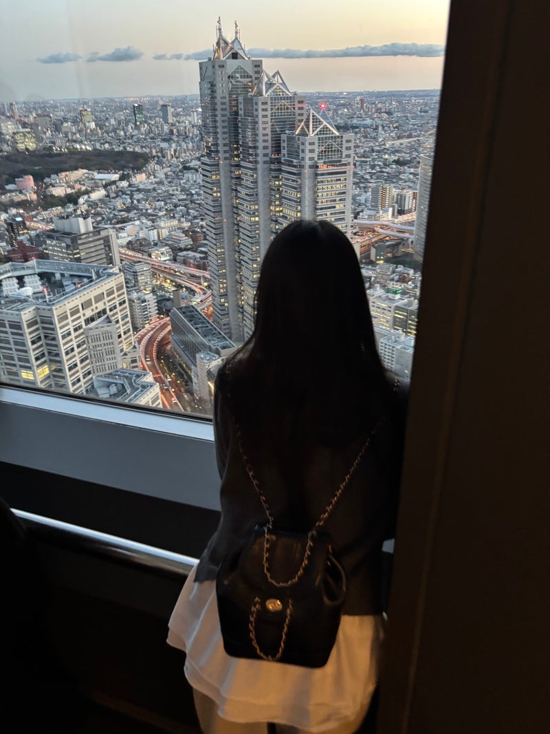 일본 무료 전망대 도쿄 도청사 가는 법 남쪽 전망대 일몰 후기