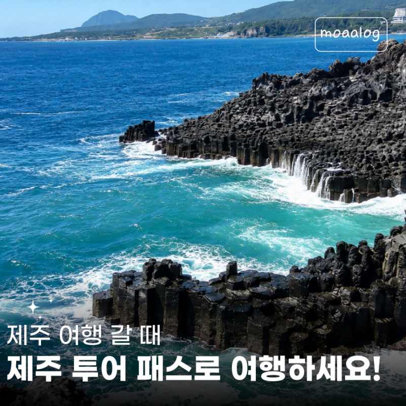 제주 투어패스 뽕뽑는 법, 티켓 할인받고 예약하세요