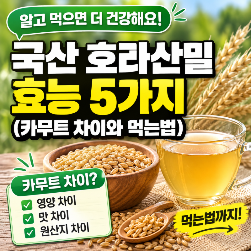국산 호라산밀 효능 5가지 (카무트 차이와 먹는법)