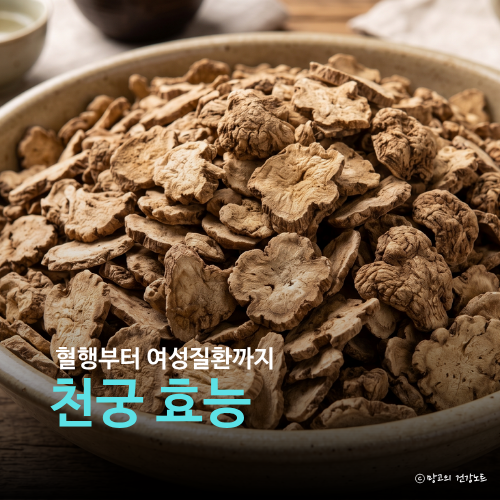 천궁 효능 부작용 천궁차 등 먹는법 정리했어요