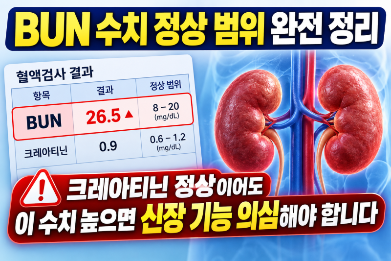 BUN 수치 정상 범위 완전 정리 — 크레아티닌 정상이어도 이 수치 높으면 신장 기능 의심해야 ....