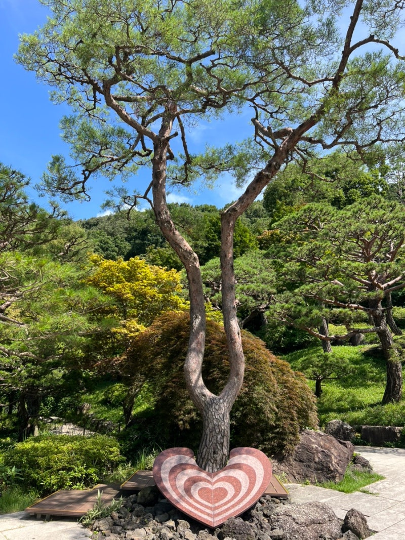 경기도 광주 화담숲 7월 후기｜평일 오전 오픈런, 화담채·모노레일 1→2구간까지 완벽 코스