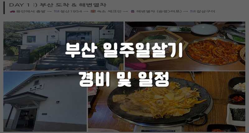6세 아이랑 부산 일주일 살기 :) 여행 일정부터 총경비까지